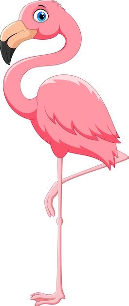 Premium Vector Cartoon Pink Flamingo Bird