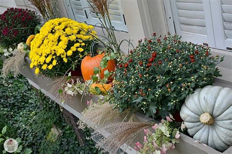 Decorating With Mums For Fall Floral Decor Ideas A Cultivated Nest