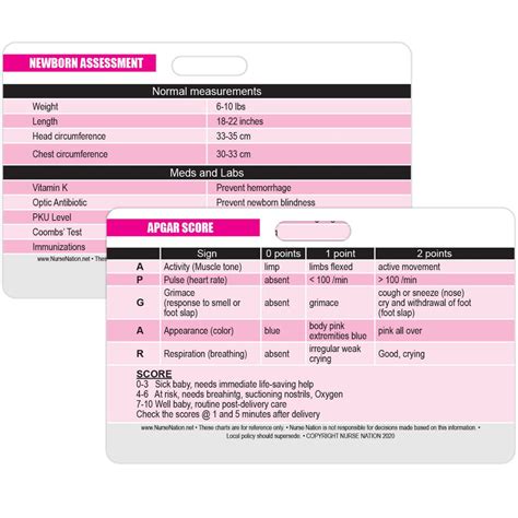 Included Information On This Badge Card Apgar Newborn Assessment