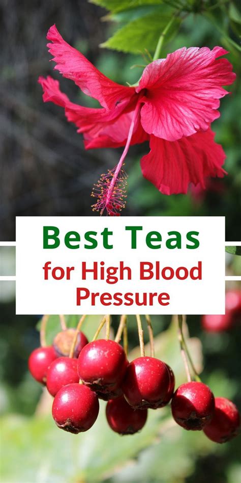 4 Best Herbal Teas For High Blood Pressure Artofit