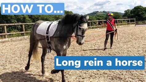 How I Long Reintwo Line Tutorial On How To Long Rein A Horse With