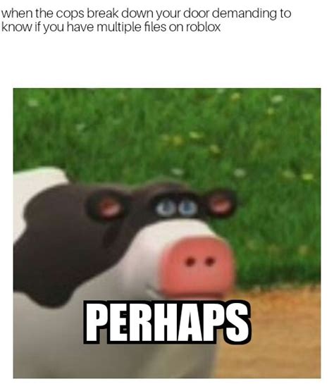 Perhaps Cow Meme By Wesleyadams Memedroid