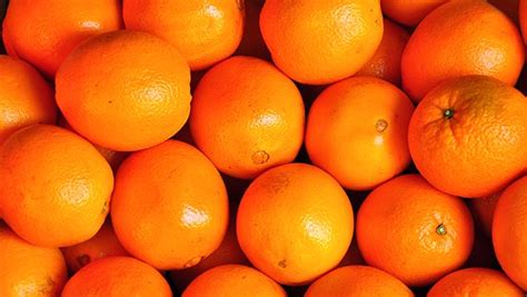 Sweet Fresh Mandarin Orangefresh Orange Navel Orange Valencia