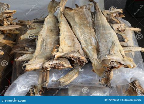 Many Dried Headless Stockfish Dried In The Sun For Sale Stock Image