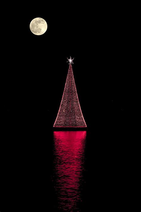 Christmas Full Moon Photograph By Sean Allen Fine Art America