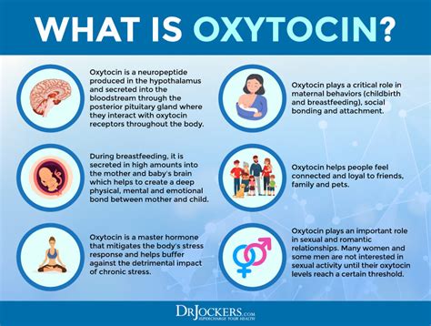 Oxytocin Is Known As The Love Hormone Heres Why Its Important And