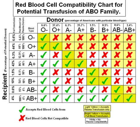 The Basics Of Blood And Blood Typing Owlcation