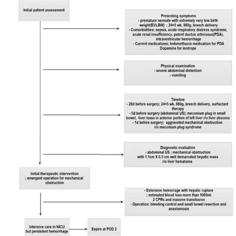 Patients Flow Chart Of Clinical Feature Nicu Neonatal Intensive