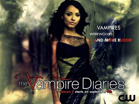 Season 2 Wallpaper The Vampire Diaries Wallpaper 15232947 Fanpop