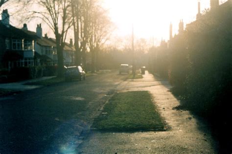 Wallpaper Sky Tree Morning Lane Sunlight Path Light Atmosphere