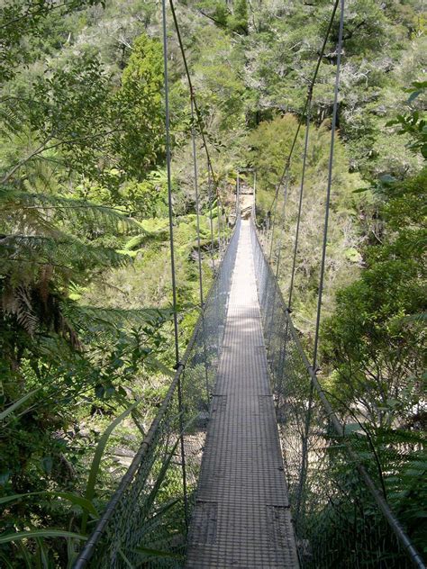 Abel Tasman National Park Coastal Walks Kayaking Wildlife Britannica