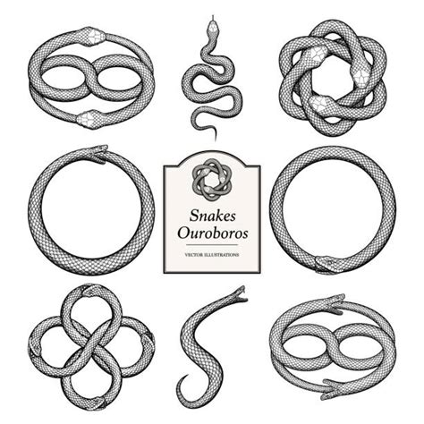 390 Ouroboros Symbol Stock Illustrations Royalty Free Vector Graphics