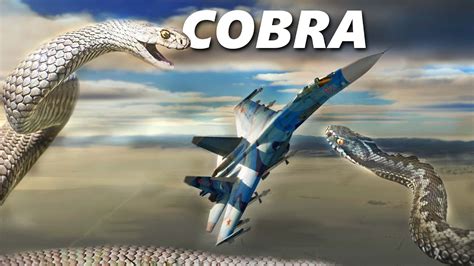 King Cobra Su 27 Flanker Vs F 16 Viper Dogfight Dcs Digital Combat