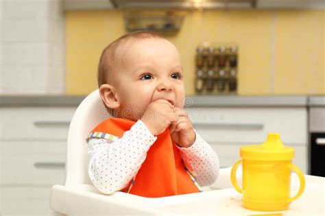 Cute Little Baby Eating Cookie Stock Image Image Of Carefree