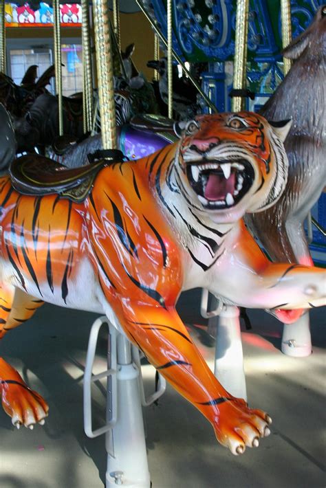 Turtle Back Zoo Carousel Bengal Tiger The Endangered Spe Flickr