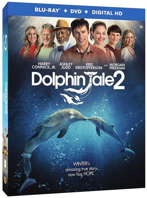 A Lucky Ladybug Dolphin Tale 2 Dvd Review And Giveaway