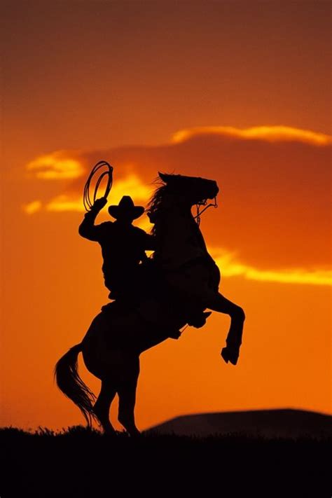 Cowboy Sunset Cowboy Pictures Horse Rearing Horse Silhouette