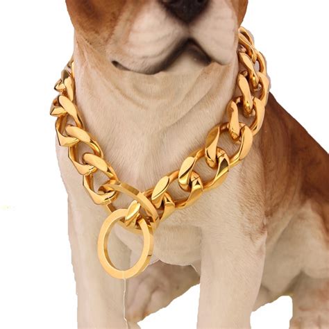 Gold Tone Stainless Steel Training Dog Collar 19mm Wide Fancy Slip
