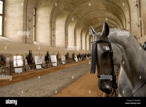 Interior Of Grand Stables With Life Size Model Horses Chantilly France