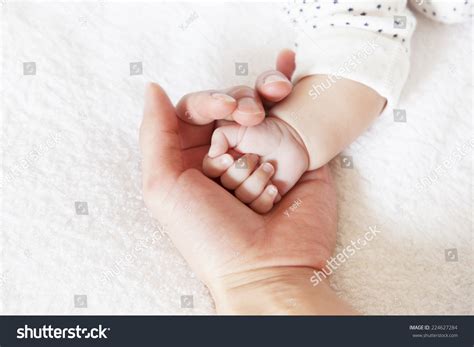 New Born Baby Hand Stock Photo 224627284 Shutterstock