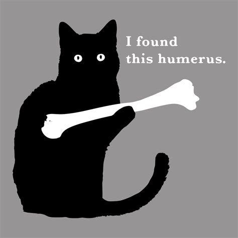 Cactus rum initially had an icon similar to the old icon for empty rum bottle. I Found This Humerus T-Shirt | Funny cat pictures, Funny ...