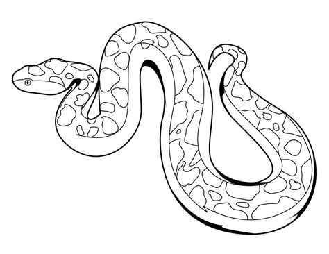 If you are and need to increase your coloring skill, you can find snake coloring pages. Free Printable Snake Coloring Pages For Kids