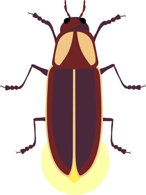 Firefly Clipart Free Download Transparent Png Creazilla