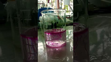 Alkali Reaction With Fenolftalein Indicators Youtube