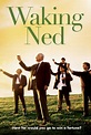 Despertando a Ned (1998) Película - PLAY Cine