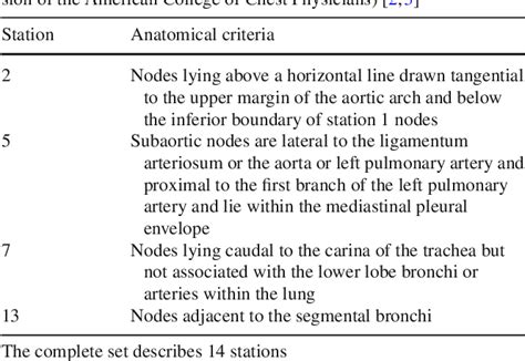 Automatic Definition Of The Central Chest Lymph Node Stations