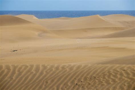 Gran Canaria Maspalomas Desert Dunes Stock Image Image Of Maspalomas