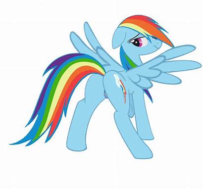 Dash Rainbow Pony Mlp Showing Rule34 Xxx