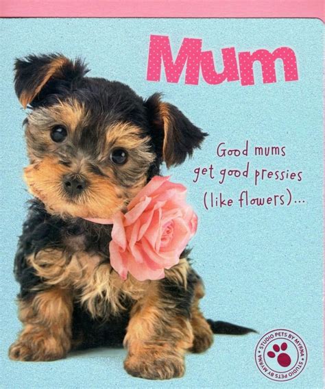 Splendid Happy Mothers Day From Dog 2023 Ideas Happy Mothers Day