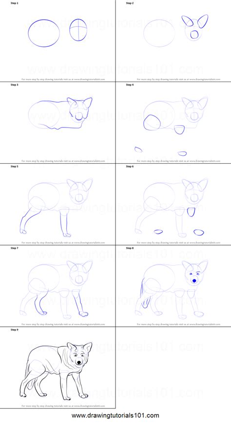 White and black wolf, dog drawing black wolf sketch, painted wolf, watercolor painting, tshirt, mammal png · png tags · png info · online resize png · license. How to Draw a Wolf printable step by step drawing sheet ...