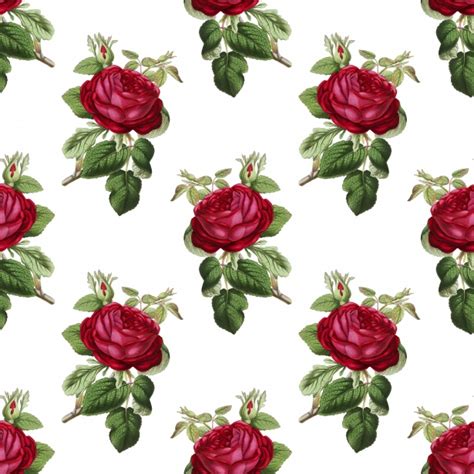 Red Roses Vintage Background Free Stock Photo Public Domain Pictures