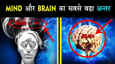 What Is The Difference Between Brain And Mind How To Control Your