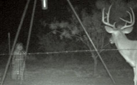 Viral Videos Creepy Trail Cam Pictures Best Camo Clothing Reviews