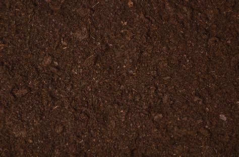30k Ground Texture Pictures Download Free Images On Unsplash