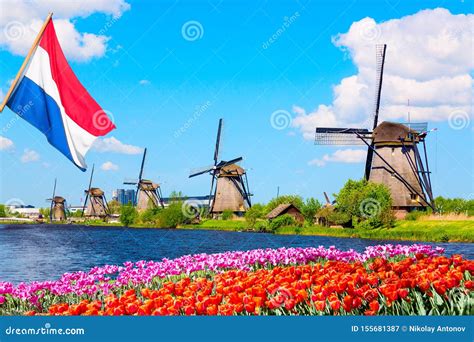 Colorful Spring Landscape In Netherlands Europe Famous Windmills In