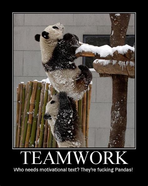 Panda Teamwork Created With Motivator Source Here Fl Flickr
