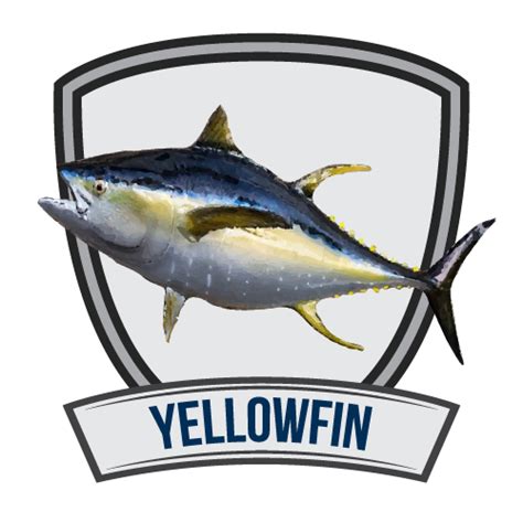 Yellowfin Tuna Ahi Surreel Fishing Charters