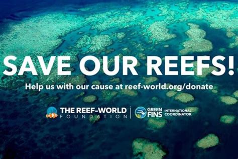 Reef World Launches Save Our Reefs Fundraiser Dive Magazine