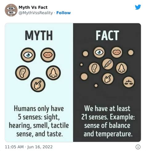 30 Incredibly Interesting Fact Vs Myths