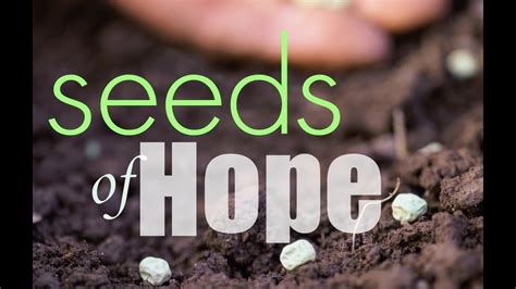 The Story Of Seeds Of Hope Youtube