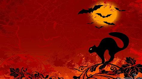 Spooky Halloween Backgrounds 55 Images