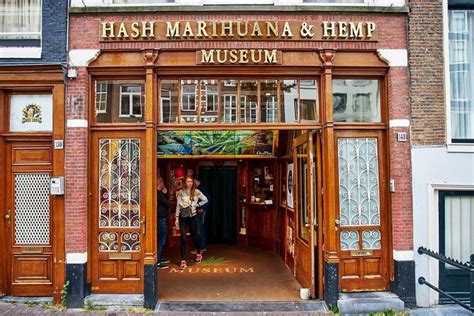 Hash Marihuana And Hemp Museum Amsterdam What To Know Before You Go