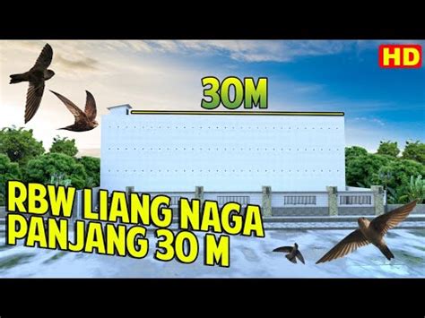 Desain gedung walet rbw 12 x 12 meter dengan menggunakan lubang naga poeta desain. Desain Dalam Rumah Burung Walet RBW 5x30 LIANG NAGA Body ...