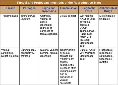 Protozoan Infections Of The Urogenital System · Microbiology