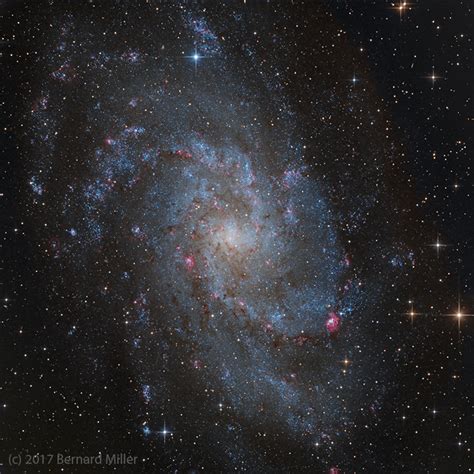 The Pinwheel Galaxy M33 Astronomy Magazine