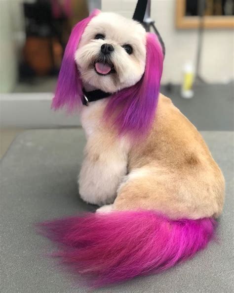 Opawz Permanent Dye For Dog And Horse Dog Haircuts Dog Hair Dye Dog